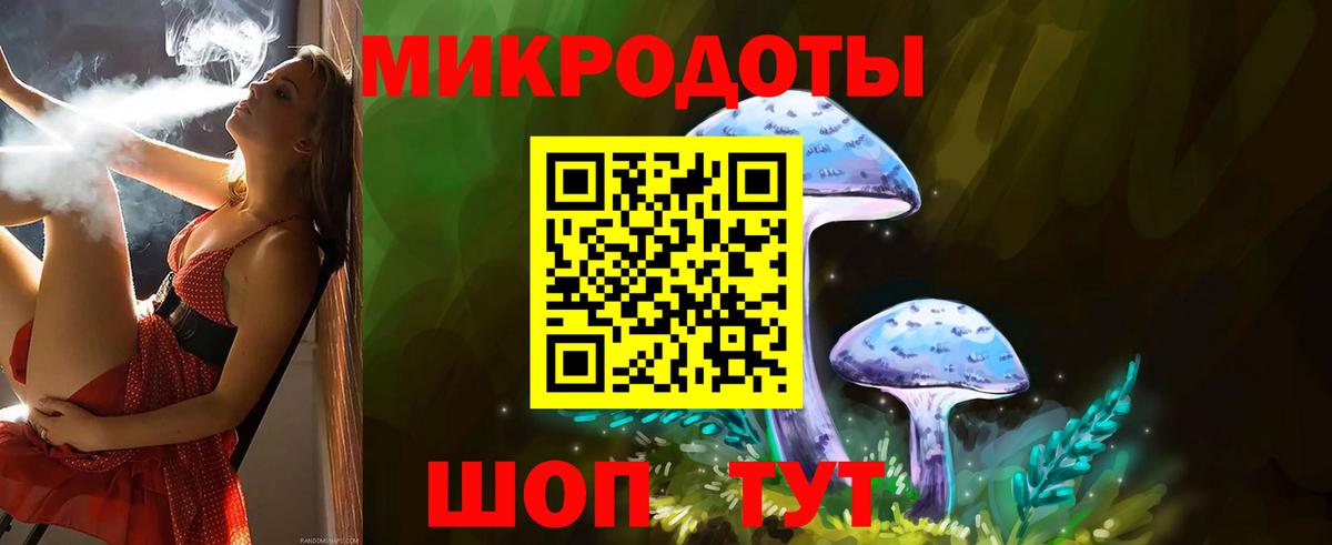 Псилоцибиновые грибы Psilocybe  наркотики  Качканар  Вход с VPN 
